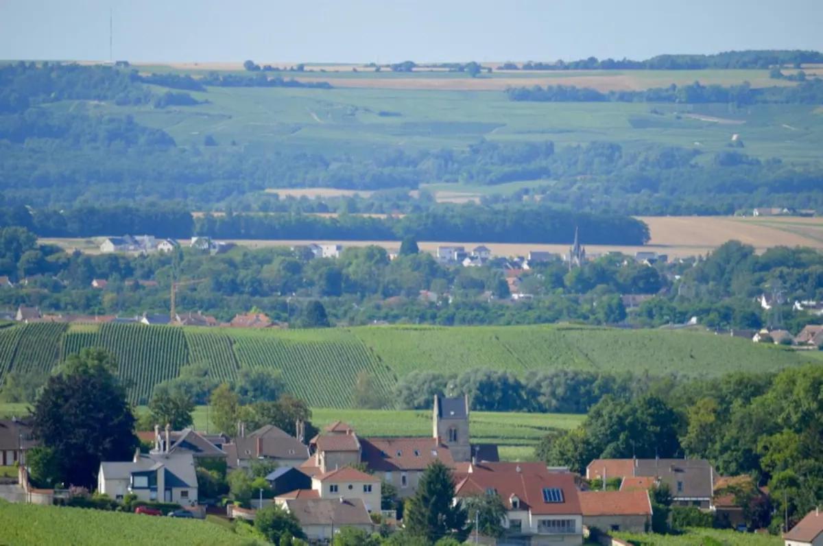 Agreable Maison Petit Jardin A 7 Minutes De Reims Pargny-les-Reims Esterno foto