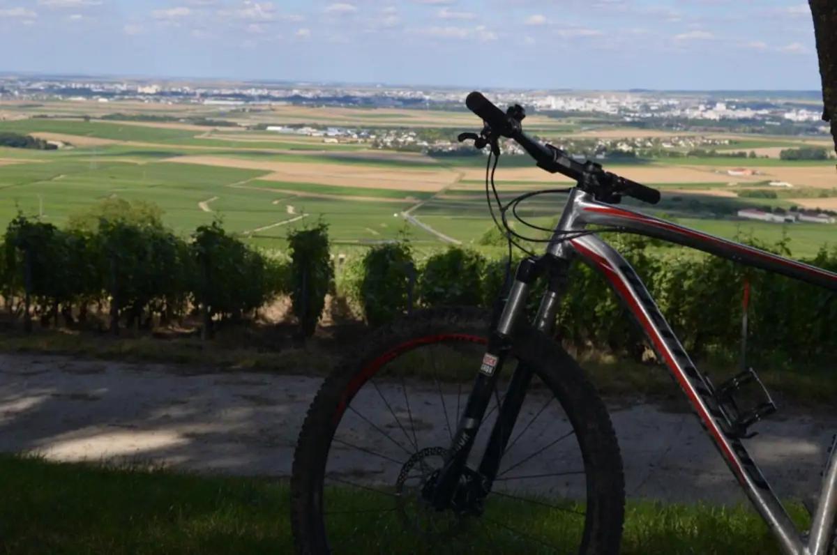 Agreable Maison Petit Jardin A 7 Minutes De Reims Pargny-les-Reims Esterno foto
